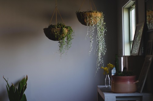 Two of my favourite people started a cafe in the tiny opal mining town of Andamooka in South Austral