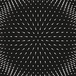 lareinederien-eros:B&amp;W