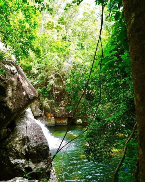 oceaniatropics:Little Crystal Creek, Queensland, Australia