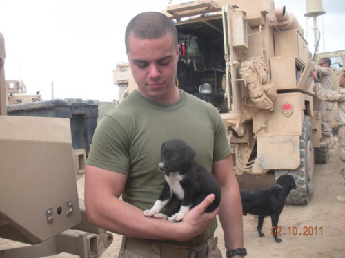 solidmilitarystuds:  Is it sad I am jealous of a puppy? damn puppy  The question is which puppy? The