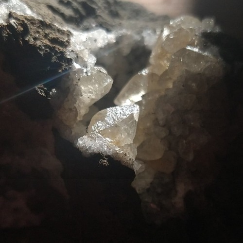 Glowing golden calcite atop water clear chabazite crystals found today on a prospecting trip with my