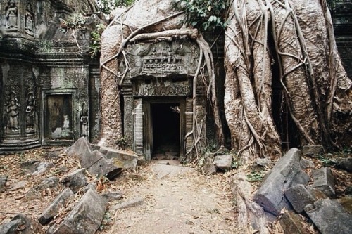 zkou:Ta Prohm, Angkor, Cambodia. Compared to the other Angkorian temples this one has been left fair