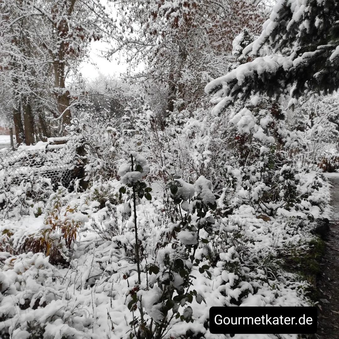 Wintergrüße aus dem Fuhnegarten

www.fuhnegarten.de