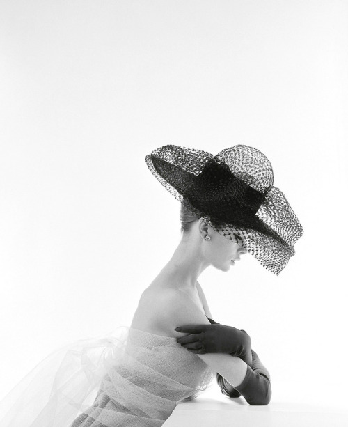 wehadfacesthen:Jean Shrimpton wears a stiffened net picture hat by Madame Paulette, 1963, in a photo