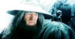 official-gandalf:mihtrandir:lotr meme{7/8 personal items} → Gandalf ‘s hatSomeone photoshop me on th