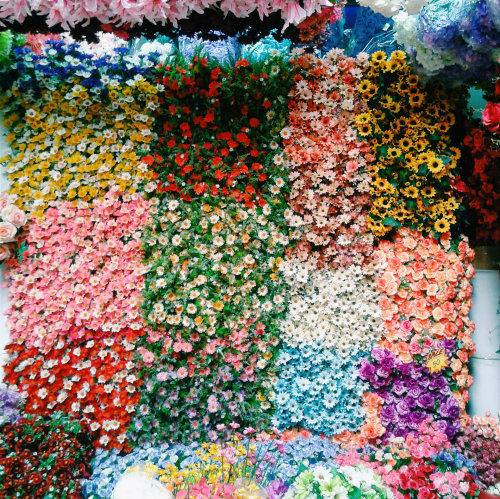 sugarslayer: Flower market in Bangkok, Thailand