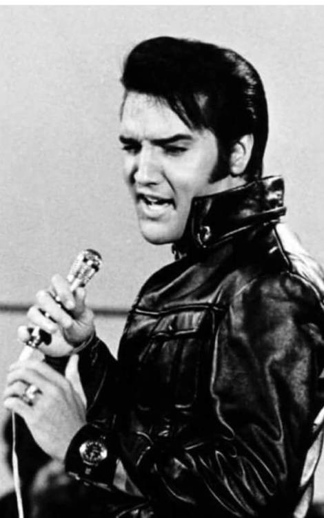 elvispresley