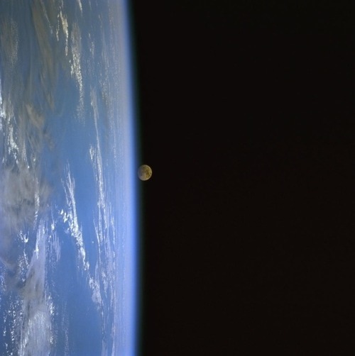 wonders-of-the-cosmos:  Moonrise Over Earth Image credit: NASA