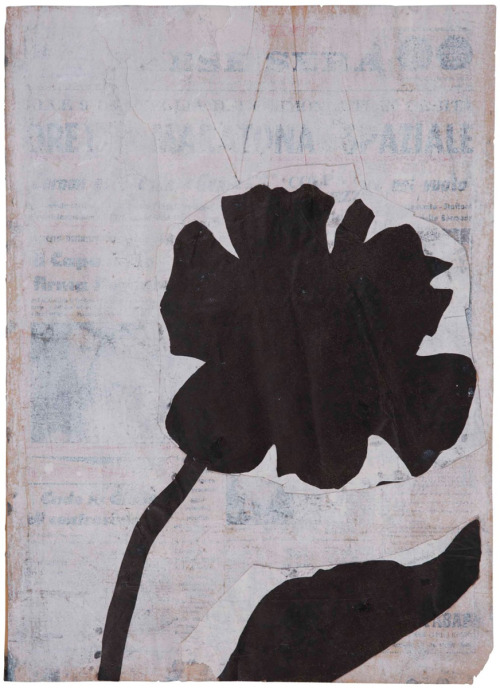 garadinervi: Jannis Kounellis, Il fiore, 1960s