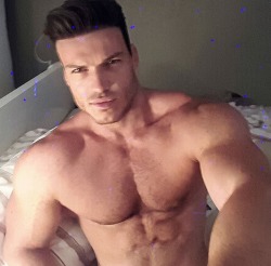 Adonis Files