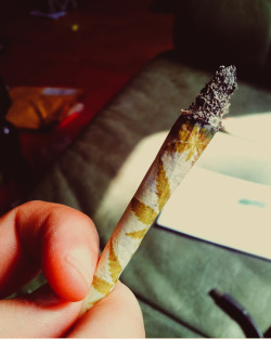 roll-it-smoke-it:💛 how high? 💨