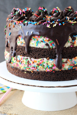 sweetoothgirl:    Funfetti Cake Batter Cookie Dough Brownie Layer Cake    Baby