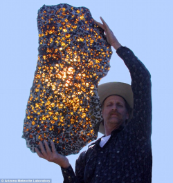 spaceexp:  Slice from the Fukang Pallasite