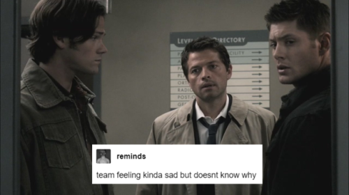 eatsleepcrap:even more supernatural + tumblr text posts (part 1) (part 2) (part 3)(part 4)