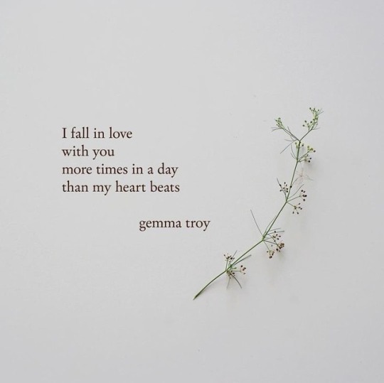 brilliantlybeloved:  