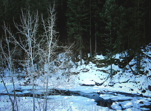 Frozen Creek by stellardianature on Flickr.