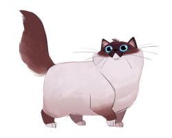 dailycatdrawings:  621: Birman