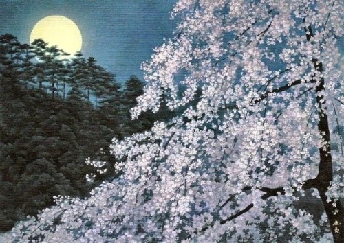 wonderlartcafe:Kaii Higashiyama, Cherry Blossoms in the Moon Light, 1982