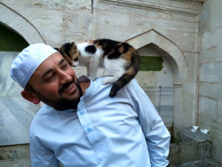 archiemcphee: Today the Department of Awesomely Good Deeds salutes Mustafa Efe, Imam at the Mahmud Hüdayi Mosque in the historical Üsküdar district of Istanbul, Turkey. In addition to his religious and community leadership work, Efe is a devoted animal