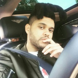 THE WEEKND XO