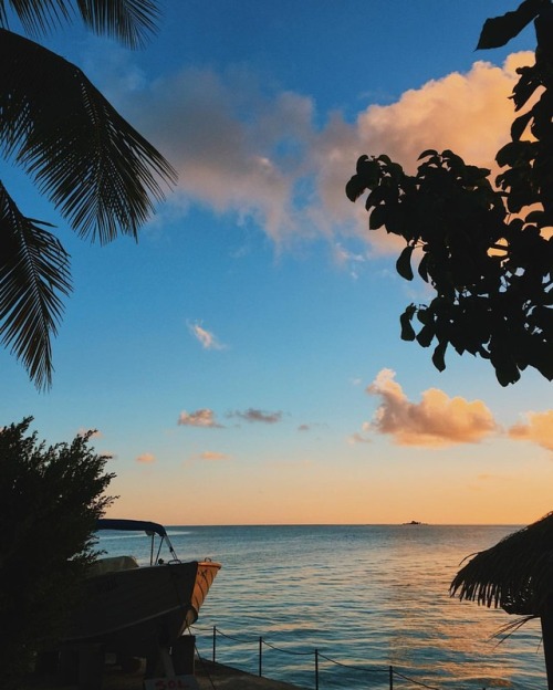 Got an itch, to fish. #rangiroa (at Paris, France) https://www.instagram.com/p/Bp4-EqegmE0/?utm_sour