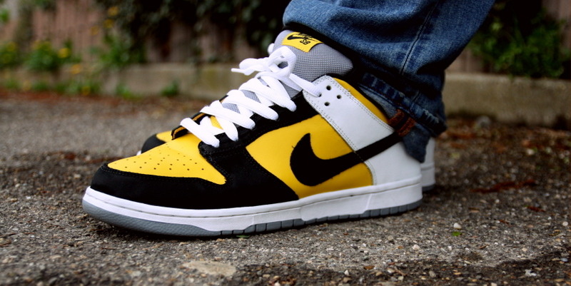 nike dunk bic