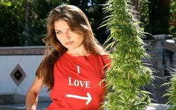 theheroicchemist:  Reblog if you love Cannabis and stoner girls! More to come!