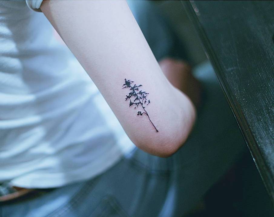 Pine tree tattoo on the right back of the arm.... - Official Tumblr page  for Tattoofilter for Men and Women
