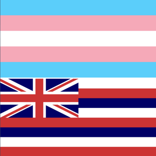 Hawaii Passes Bill Allowing Transgender People To Change Birth Certificate“The Hawaii Legislat