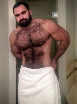 hairytreasurechests:  If you also like hairy and older men who are well hung and hang well please visit my other tumblr page!  menwhohangwell.tumblr.com 