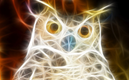 Animals Drawn With Light.