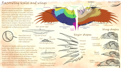 drawingden:Razorwing scaled wing anatomy by Sezaii 