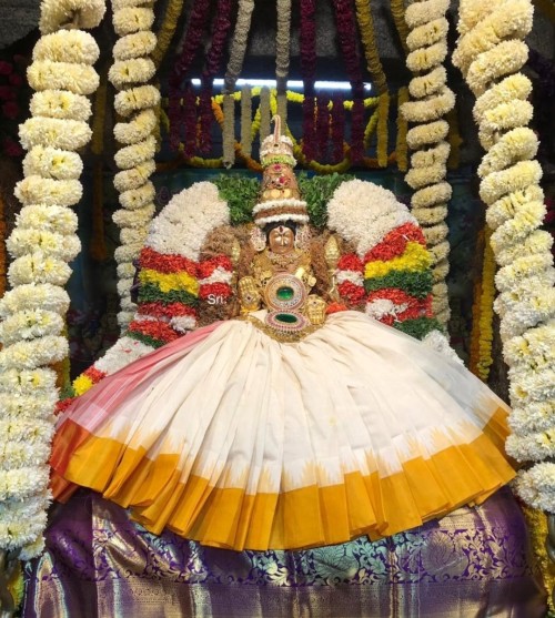 Shri Padmavathi Vasathotsavam (Spring festival) Tirupati, Andhra Pradesh