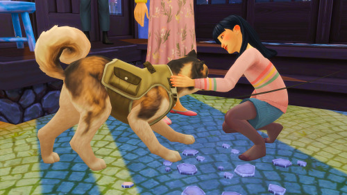 “And he must be Zed!” Sayuri said smiling at the dog next to Isabela.“Yes, he’s a very good boy. I p