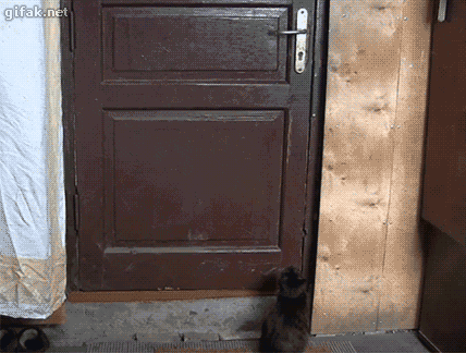 funny-gif-1:  Other Funny Gİfs http://funny-gif-1.tumblr.com/ 