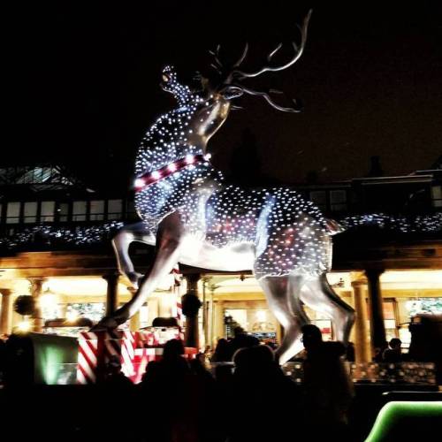 Lovely holiday decor up #coventgarden #christmas #christmasdecor #reindeer #christmaslights #christm