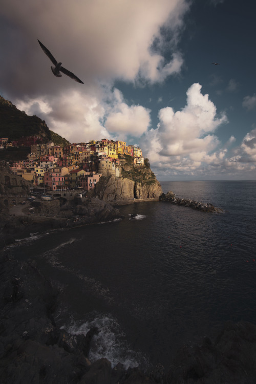 Picture taked by me, June 2019, Manarola.