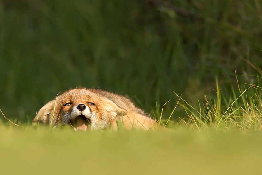 Roeselien Raimond