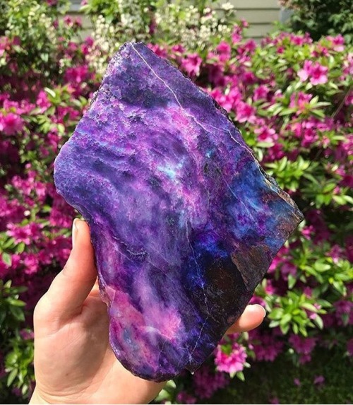 artisticlog: Sugilite ✨