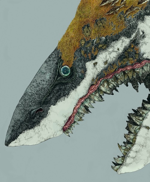 crossconnectmag:Selected works by Kazuki Okuda, an illustrator, and 2D artist fromKyoto, JapanBecome