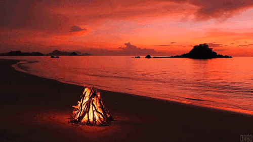 A Cozy Beach Fire [OC]