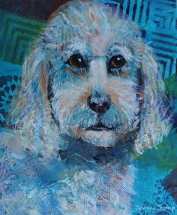 Labradoodle, pet portrait, acrylics on canvas, 25cm x 30cm,
Jenny Jump