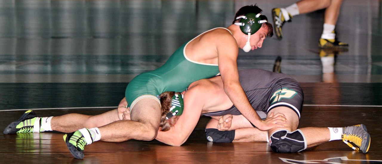 Green and Gold Meet, from Leo Tard1
