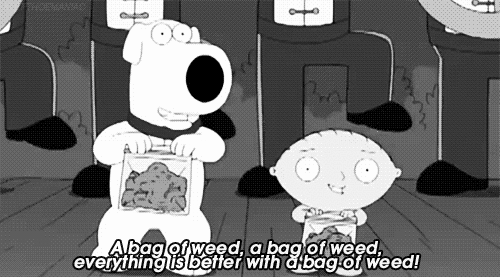 hello mary jane.