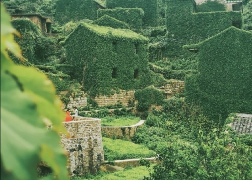 fuckyeahchinesegarden:嵊山shèng shān, zhoushan, hangzhou, zhejiang province