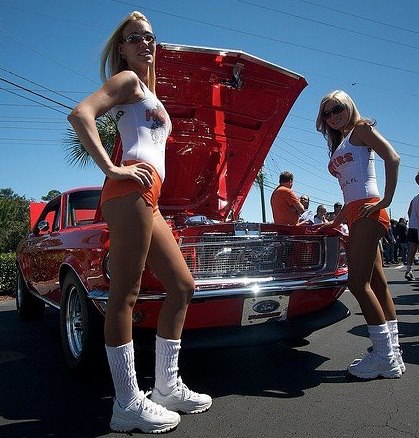 VEHICLE VIXENS