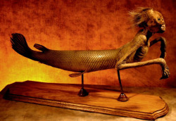 Fiji mermaid par Thomas Kuebler.