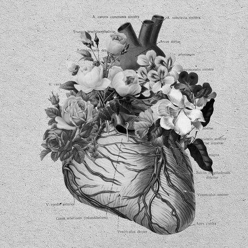 A Heart Like A Mirror
