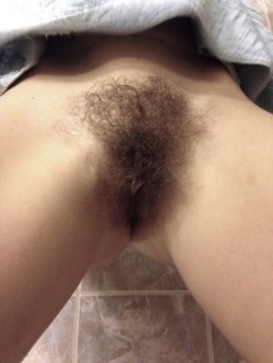 Hairy Bush