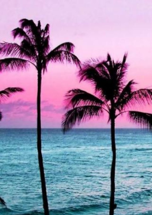 letslivebythesea:  Ocean and Beach Posts